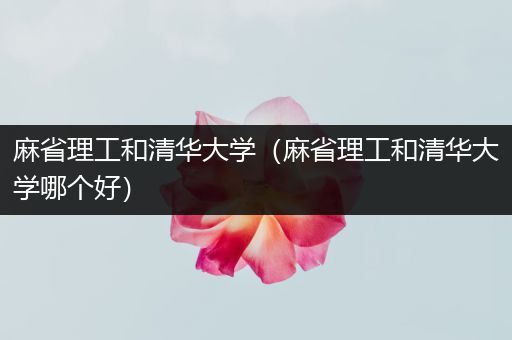 麻省理工和清华大学（麻省理工和清华大学哪个好）