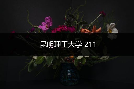 昆明理工大学 211