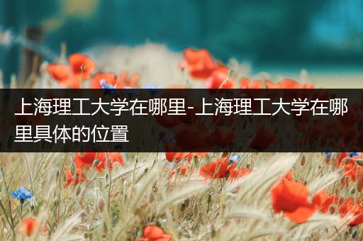 上海理工大学在哪里-上海理工大学在哪里具体的位置