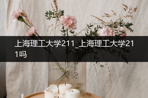上海理工大学211_上海理工大学211吗