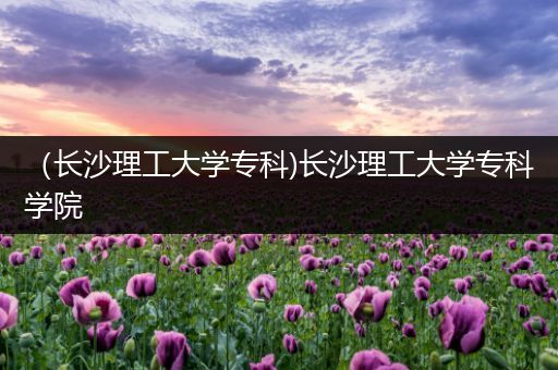 （长沙理工大学专科)长沙理工大学专科学院