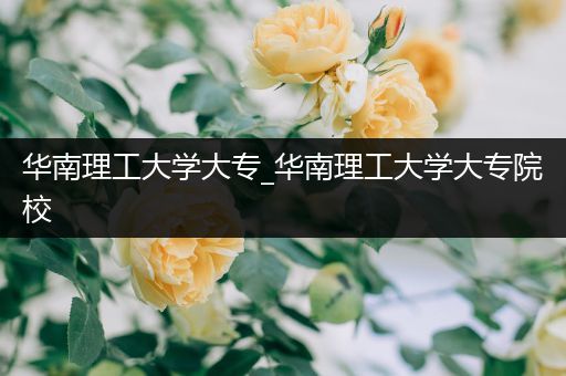 华南理工大学大专_华南理工大学大专院校