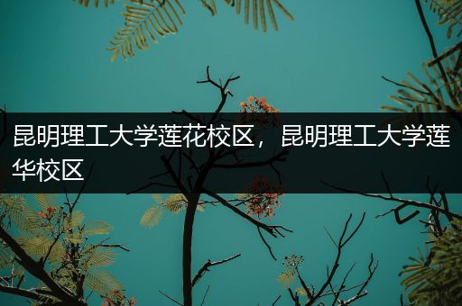 昆明理工大学莲花校区，昆明理工大学莲华校区