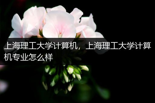 上海理工大学计算机，上海理工大学计算机专业怎么样