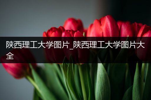陕西理工大学图片_陕西理工大学图片大全