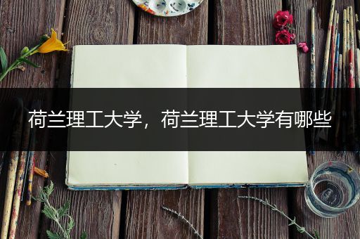 荷兰理工大学，荷兰理工大学有哪些