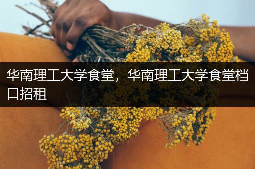 华南理工大学食堂，华南理工大学食堂档口招租