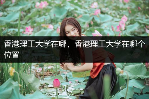 香港理工大学在哪，香港理工大学在哪个位置