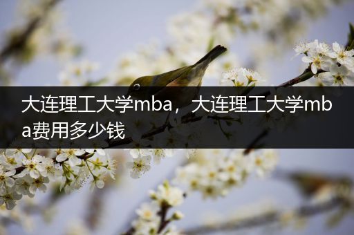 大连理工大学mba，大连理工大学mba费用多少钱