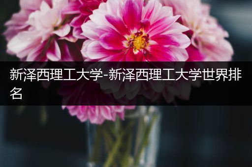 新泽西理工大学-新泽西理工大学世界排名