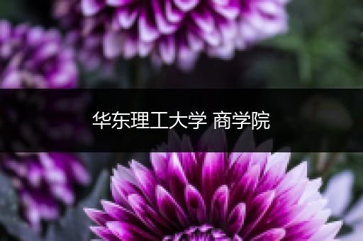 华东理工大学 商学院