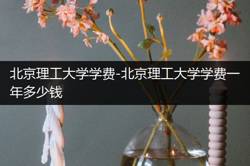 北京理工大学学费-北京理工大学学费一年多少钱