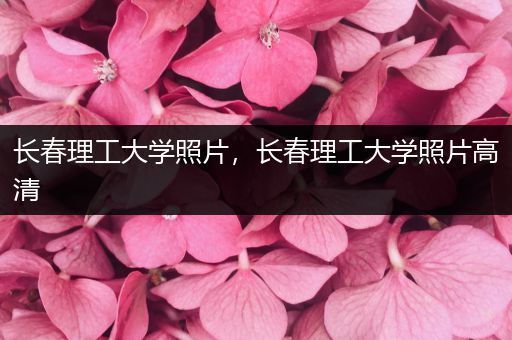 长春理工大学照片，长春理工大学照片高清