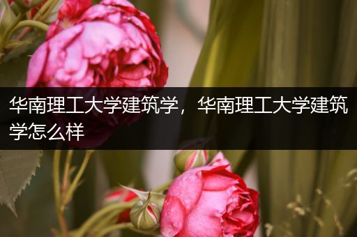 华南理工大学建筑学，华南理工大学建筑学怎么样