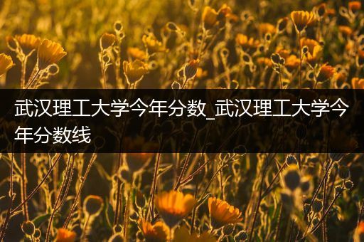 武汉理工大学今年分数_武汉理工大学今年分数线