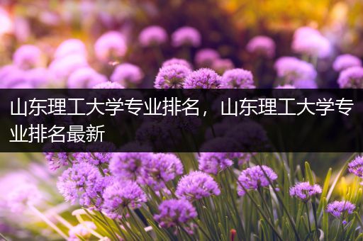 山东理工大学专业排名，山东理工大学专业排名最新