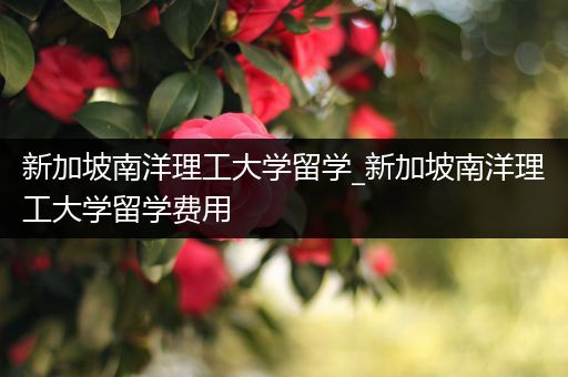 新加坡南洋理工大学留学_新加坡南洋理工大学留学费用