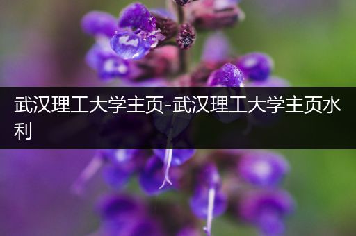 武汉理工大学主页-武汉理工大学主页水利