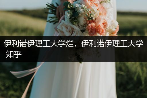 伊利诺伊理工大学烂，伊利诺伊理工大学 知乎