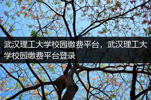 武汉理工大学校园缴费平台，武汉理工大学校园缴费平台登录