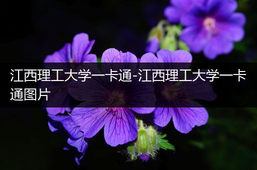 江西理工大学一卡通-江西理工大学一卡通图片