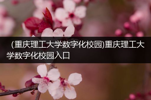 （重庆理工大学数字化校园)重庆理工大学数字化校园入口