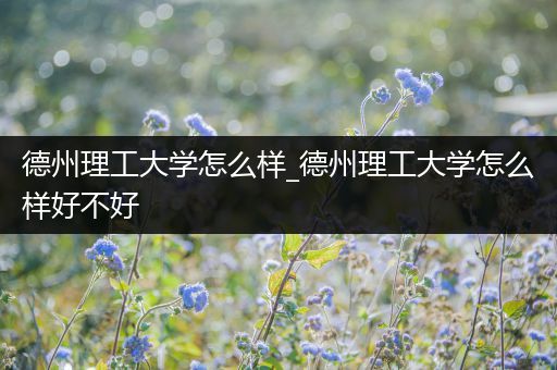 德州理工大学怎么样_德州理工大学怎么样好不好