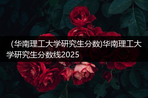 （华南理工大学研究生分数)华南理工大学研究生分数线2025