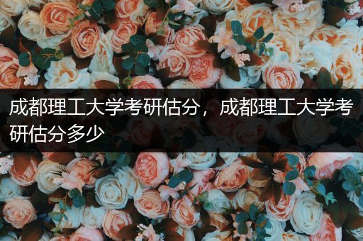 成都理工大学考研估分，成都理工大学考研估分多少