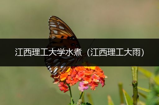 江西理工大学水煮（江西理工大雨）