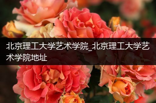 北京理工大学艺术学院_北京理工大学艺术学院地址