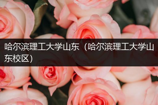 哈尔滨理工大学山东（哈尔滨理工大学山东校区）