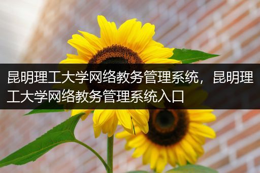 昆明理工大学网络教务管理系统，昆明理工大学网络教务管理系统入口