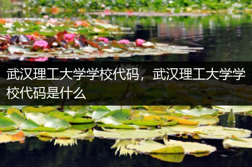 武汉理工大学学校代码，武汉理工大学学校代码是什么