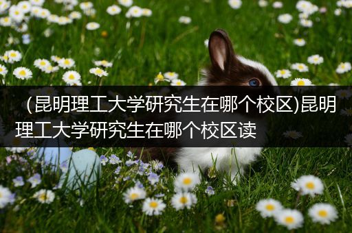 （昆明理工大学研究生在哪个校区)昆明理工大学研究生在哪个校区读