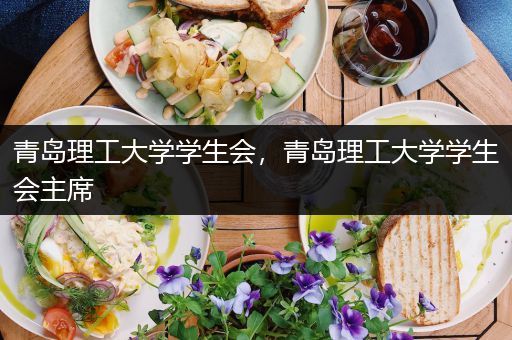 青岛理工大学学生会，青岛理工大学学生会主席