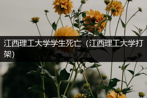 江西理工大学学生死亡（江西理工大学打架）