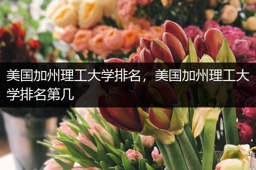 美国加州理工大学排名，美国加州理工大学排名第几