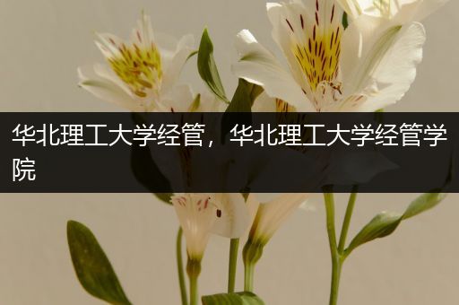 华北理工大学经管，华北理工大学经管学院