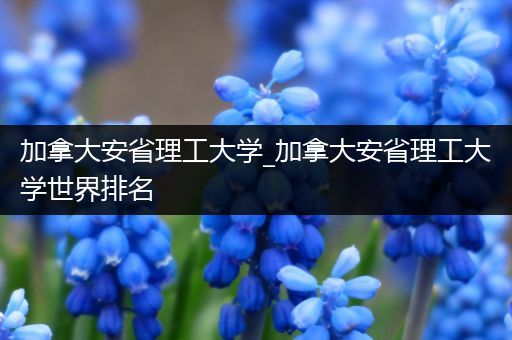 加拿大安省理工大学_加拿大安省理工大学世界排名