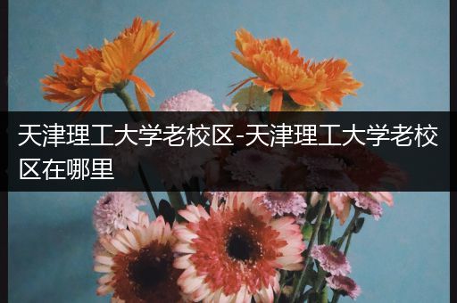 天津理工大学老校区-天津理工大学老校区在哪里