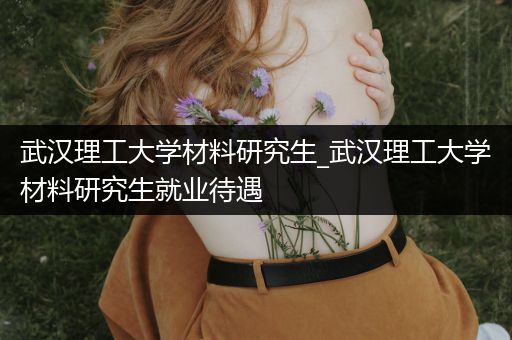武汉理工大学材料研究生_武汉理工大学材料研究生就业待遇