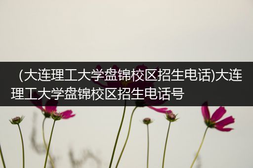 （大连理工大学盘锦校区招生电话)大连理工大学盘锦校区招生电话号