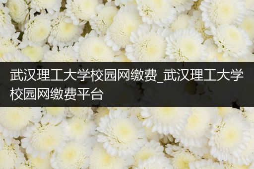 武汉理工大学校园网缴费_武汉理工大学校园网缴费平台