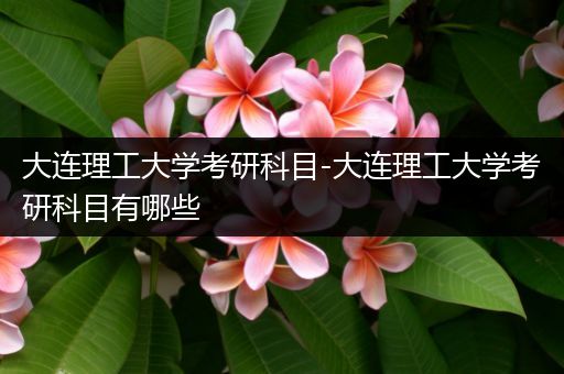 大连理工大学考研科目-大连理工大学考研科目有哪些