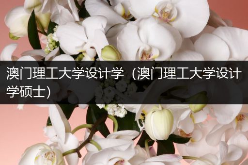 澳门理工大学设计学（澳门理工大学设计学硕士）