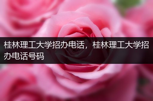 桂林理工大学招办电话，桂林理工大学招办电话号码