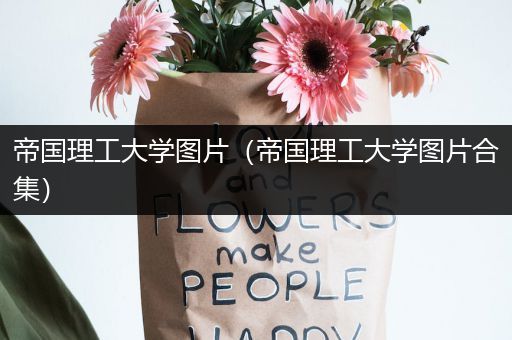 帝国理工大学图片（帝国理工大学图片合集）