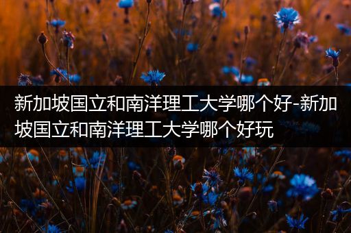新加坡国立和南洋理工大学哪个好-新加坡国立和南洋理工大学哪个好玩