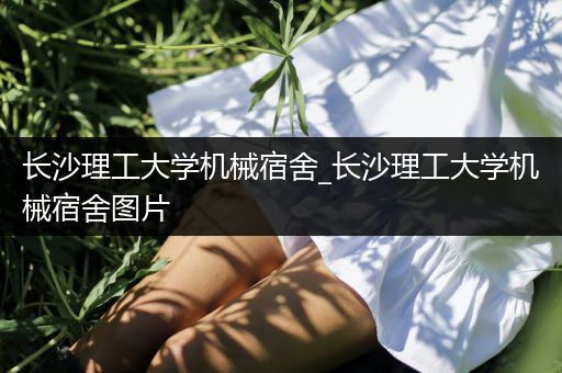 长沙理工大学机械宿舍_长沙理工大学机械宿舍图片